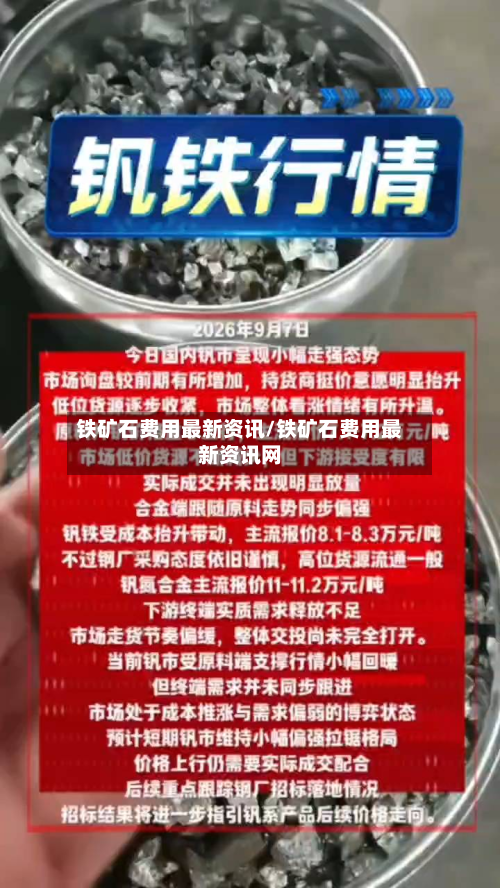 铁矿石费用最新资讯/铁矿石费用最新资讯网-第3张图片
