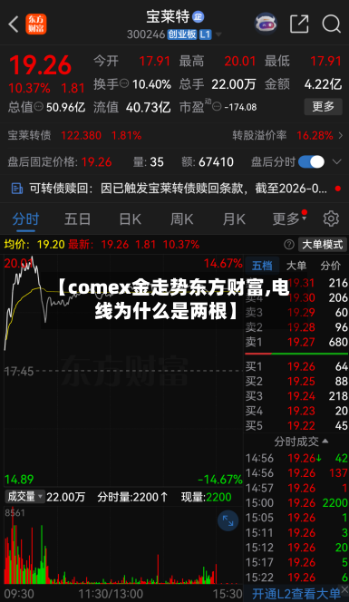 【comex金走势东方财富,电线为什么是两根】-第2张图片