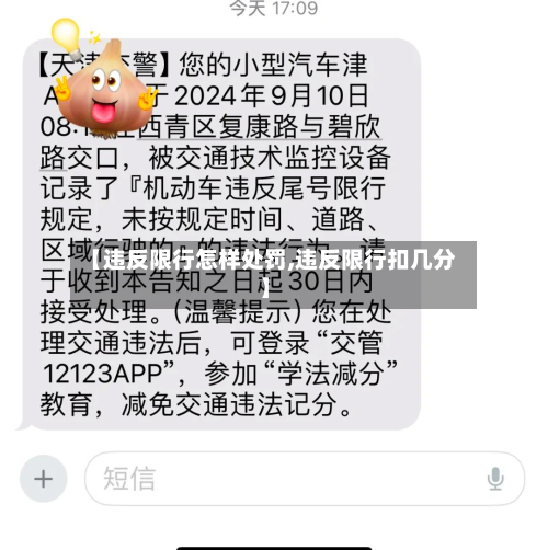 【违反限行怎样处罚,违反限行扣几分】-第2张图片