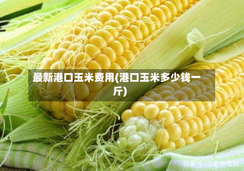 最新港口玉米费用(港口玉米多少钱一斤)-第3张图片