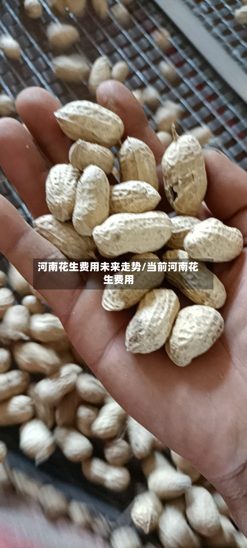 河南花生费用未来走势/当前河南花生费用-第2张图片