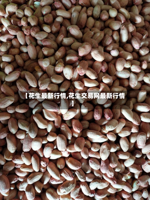 【花生最新行情,花生交易网最新行情】-第2张图片