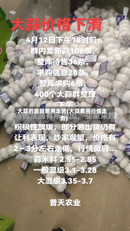 大蒜的最新费用走势(大蒜费用行情走势)-第3张图片