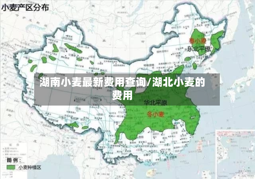 湖南小麦最新费用查询/湖北小麦的费用