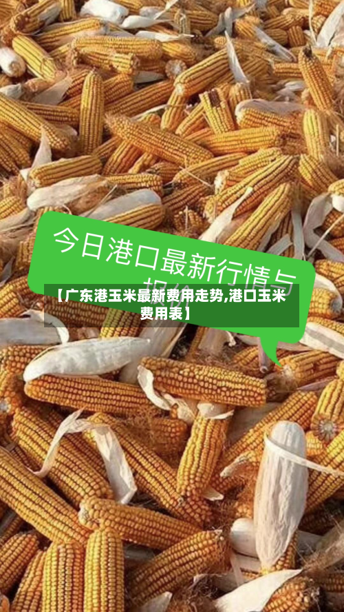 【广东港玉米最新费用走势,港口玉米费用表】