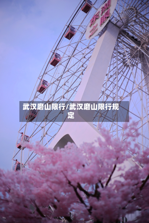 武汉磨山限行/武汉磨山限行规定