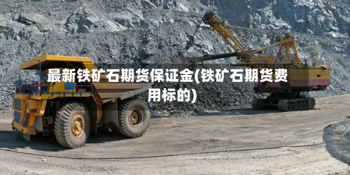 最新铁矿石期货保证金(铁矿石期货费用标的)