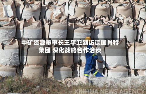 中矿资源董事长王平卫到访德国肖特集团 深化战略合作洽谈-第2张图片