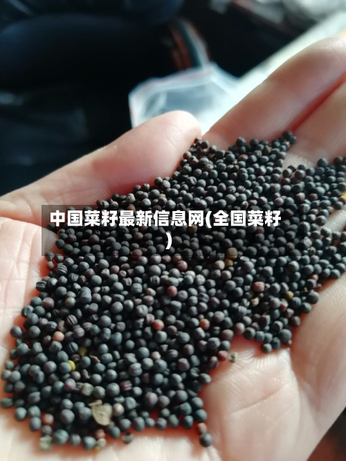 中国菜籽最新信息网(全国菜籽)-第3张图片
