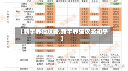 【新手养猫攻略,新手养猫攻略知乎】-第2张图片
