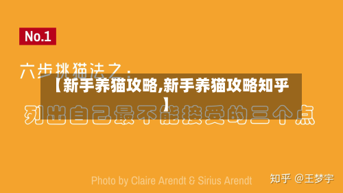 【新手养猫攻略,新手养猫攻略知乎】-第3张图片