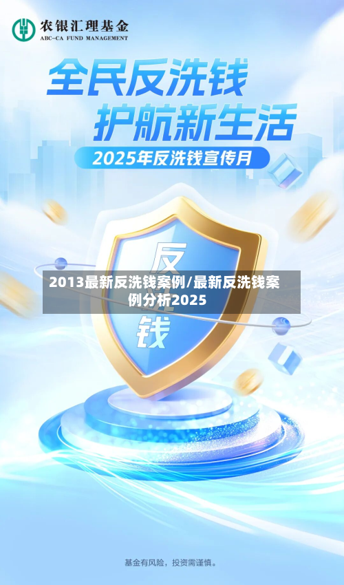 2013最新反洗钱案例/最新反洗钱案例分析2025