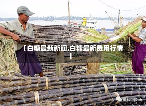 【白糖最新新闻,白糖最新费用行情】-第2张图片