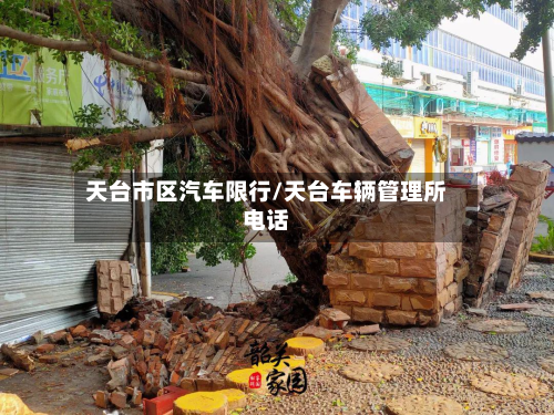 天台市区汽车限行/天台车辆管理所电话