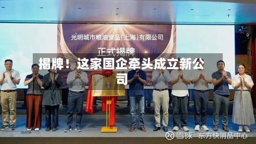 揭牌！这家国企牵头成立新公司