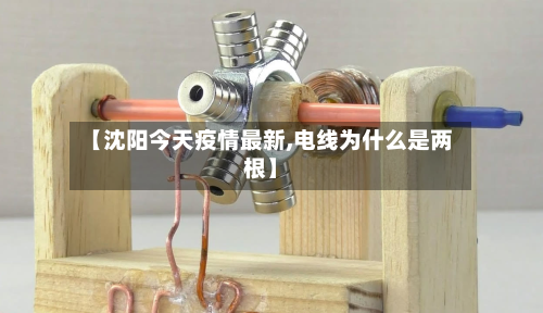 【沈阳今天疫情最新,电线为什么是两根】-第2张图片