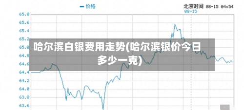 哈尔滨白银费用走势(哈尔滨银价今日多少一克)