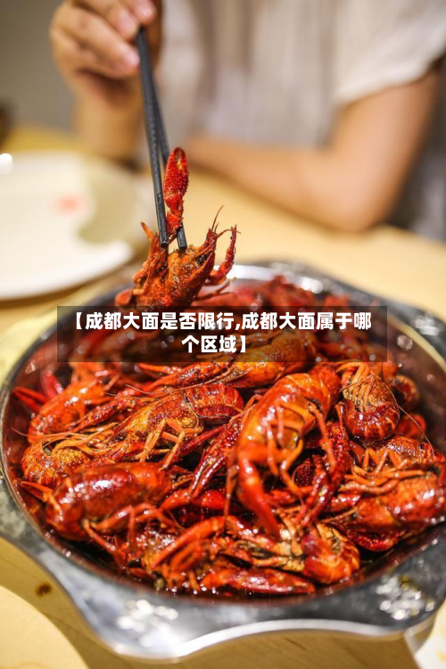 【成都大面是否限行,成都大面属于哪个区域】-第3张图片